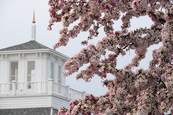 Egg Harbor Hazy Evening Walk-63