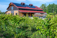 Anchored Roots Vineyard and Winery