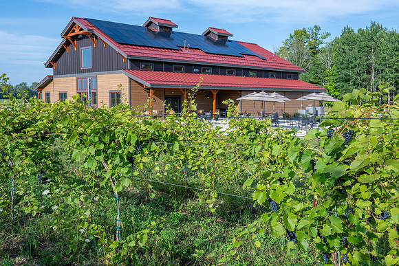 Anchored Roots Vineyard and Winery DDC 2026-29