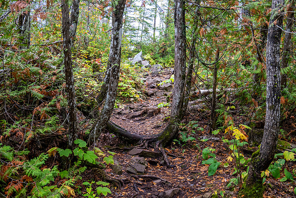 Hunters Point and Brockway Mt Fall Views-8
