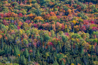 Hunters Point and Brockway Mt Fall Views-45
