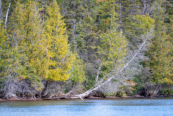 Hunters Point and Brockway Mt Fall Views-31