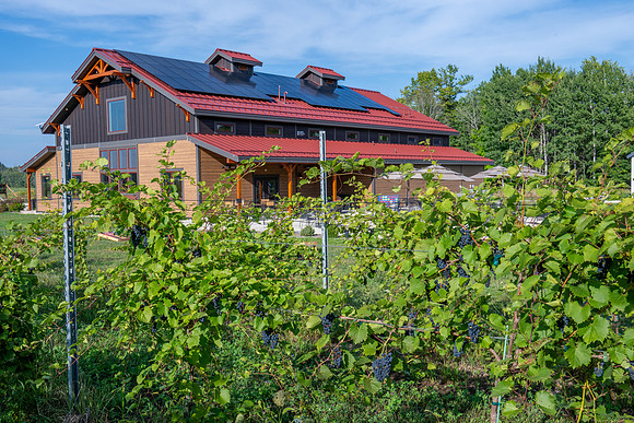 Anchored Roots Vineyard and Winery DDC 2026-30