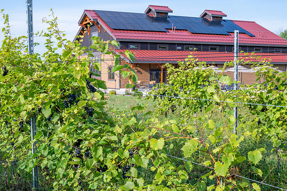 Anchored Roots Vineyard and Winery DDC 2026-38