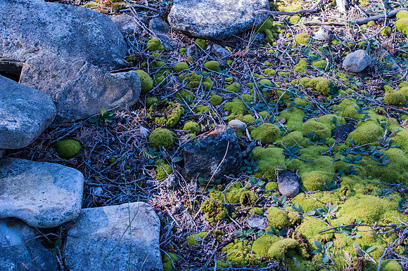 LittleLakeFall14-113
