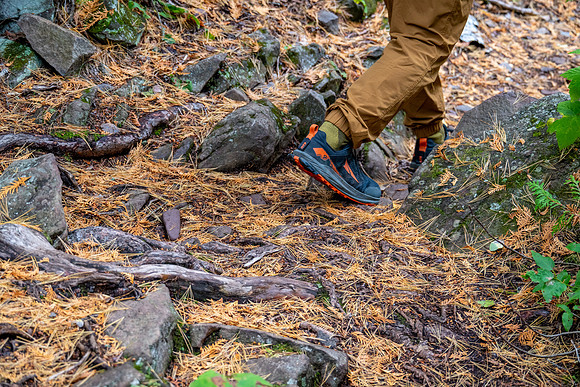 Hunters Point and Brockway Mt Fall Views-11