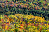 Hunters Point and Brockway Mt Fall Views-50