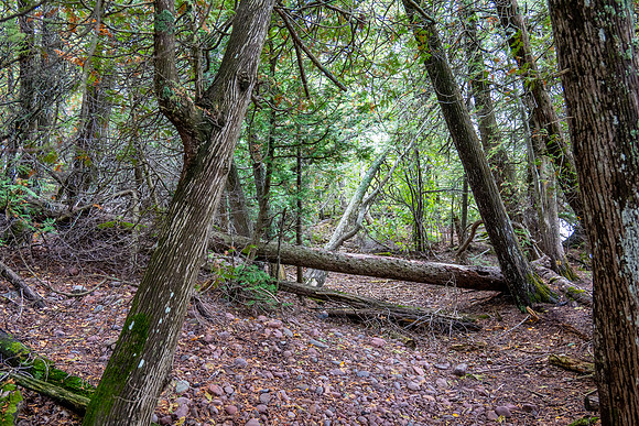 Hunters Point and Brockway Mt Fall Views-14