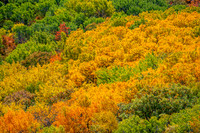 Hunters Point and Brockway Mt Fall Views-51
