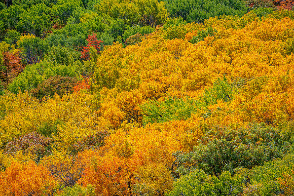 Hunters Point and Brockway Mt Fall Views-51
