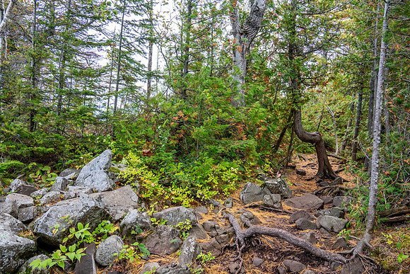 Hunters Point and Brockway Mt Fall Views-9