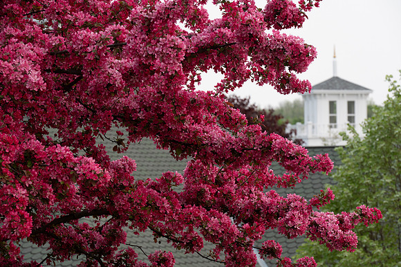 Egg Harbor Hazy Evening Walk-189