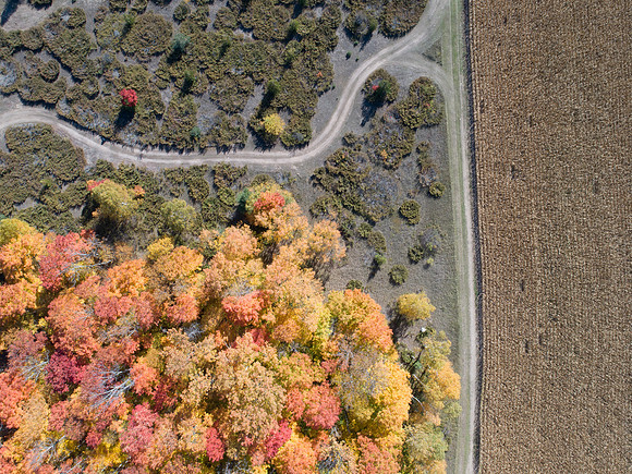 FallDrone-10