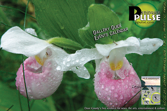 ppv9i14_cover_sm