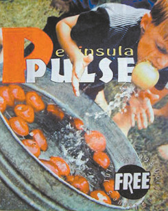 ppv3i05_cover_sm