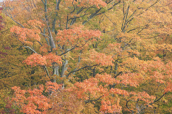 FallFarm-5