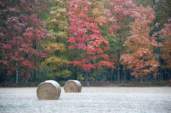 SnowColors85