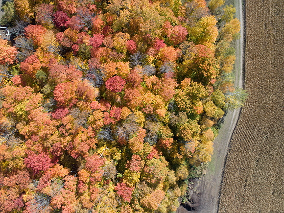 FallDrone-13