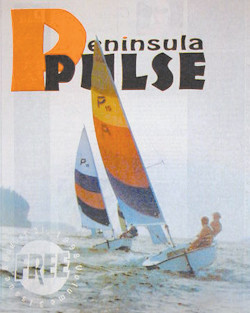 ppv3i08_cover_sm