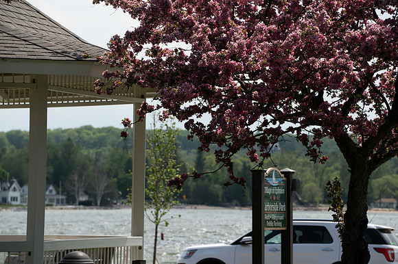 EphBlossomPark-1