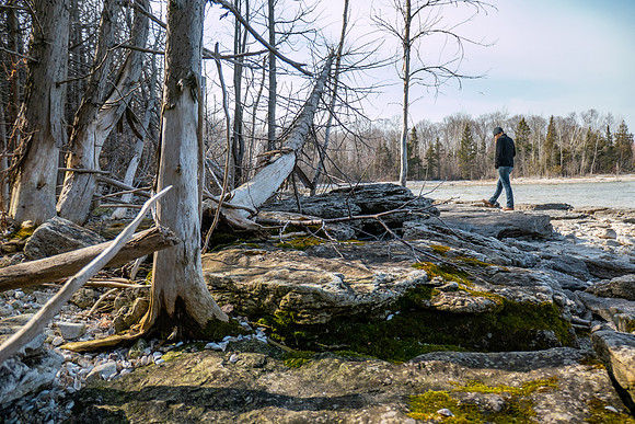 Early Spring Newport Hike-7