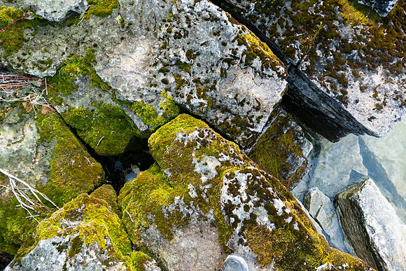 Early Spring Newport Hike-15