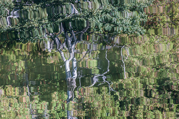 LittleLakeFall14-119