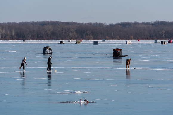 icefish-139-2
