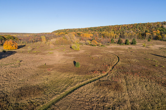BayBluffFall-3