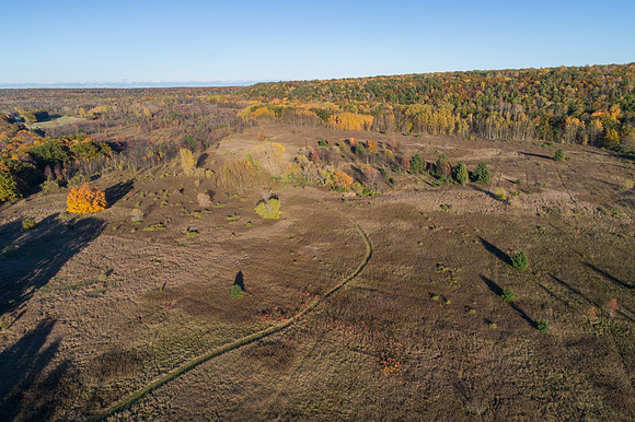 BayBluffFall-9