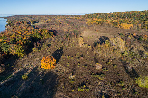 BayBluffFall-12