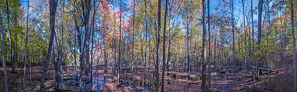 APondFallPano02