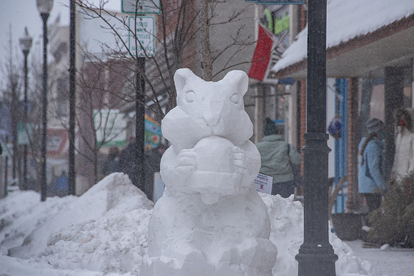 02-14-2021-Dan Eggert-Fire and Ice-11