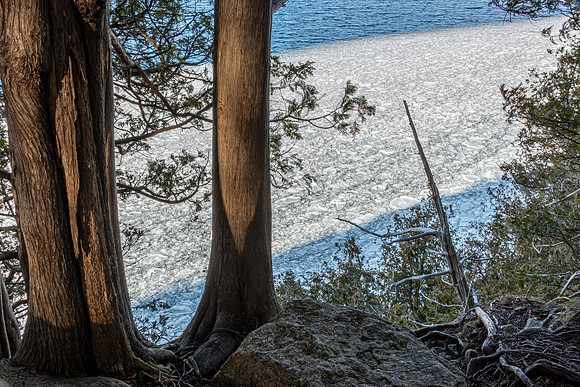 gills-137-HDR