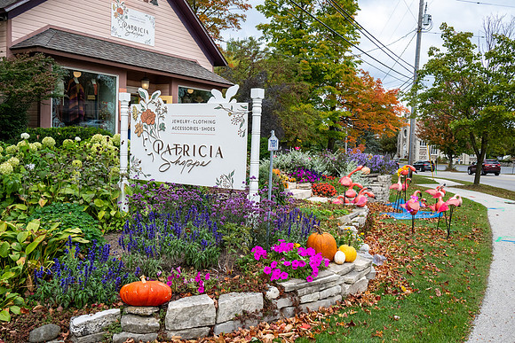 Pumpkin Patch 2023-1