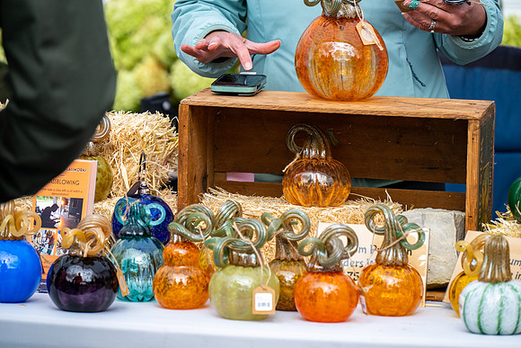 Pumpkin Patch 2023-80
