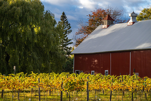 Fall Farm EB Road-9