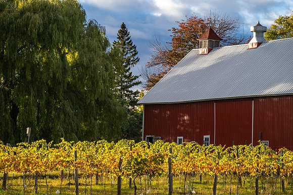 Fall Farm EB Road-9