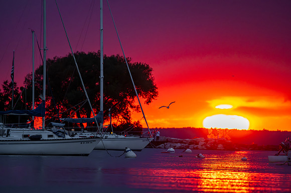 Sunset FC Sailboats-8-Enhanced-NR