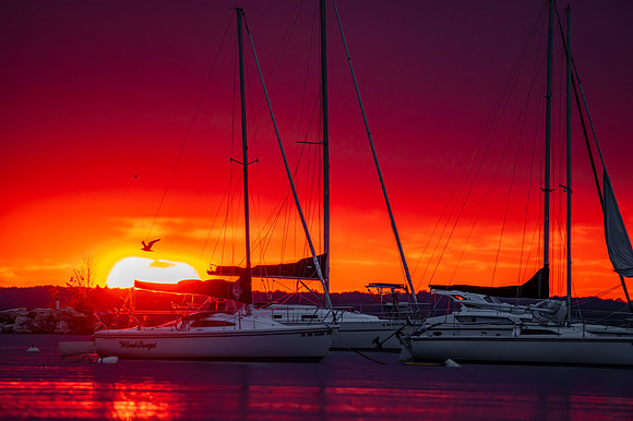 Sunset FC Sailboats-19-Enhanced-NR