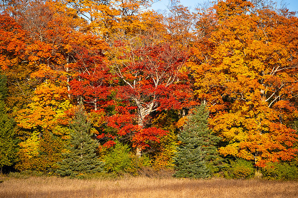 another fall day-327
