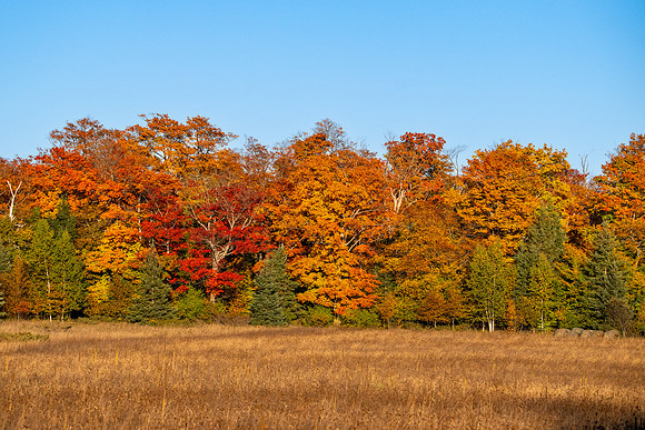 another fall day-330