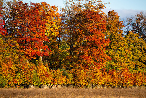 another fall day-357