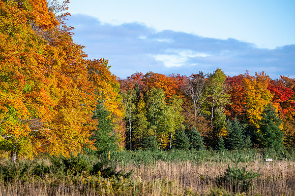 another fall day-279