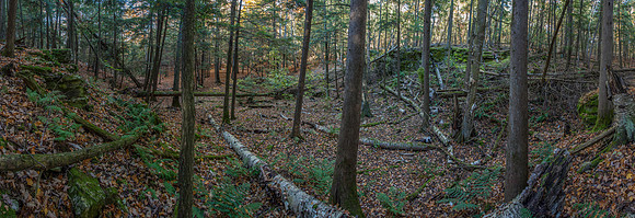 LWFallPano01