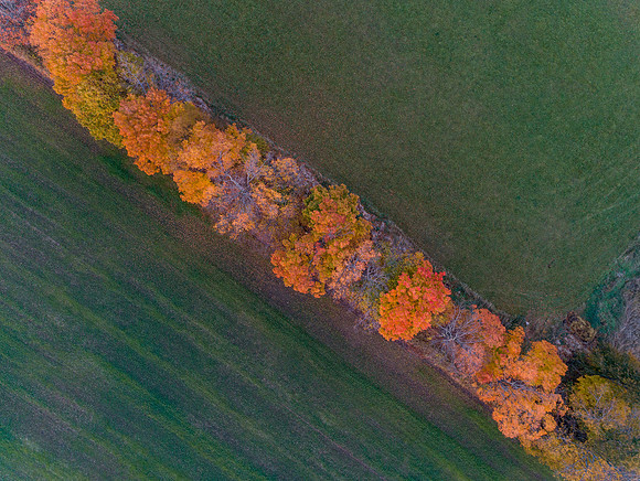 FallDrone-236