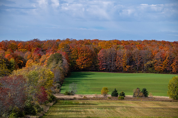 ColorCruisin-39