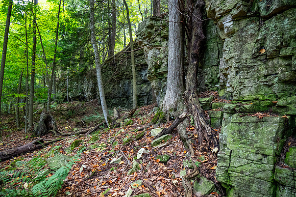 Eagle Traile Hike-44