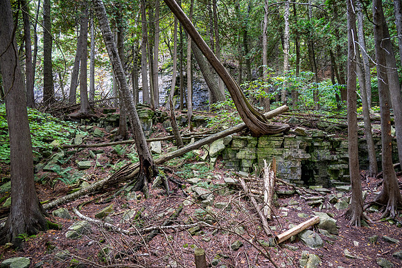 Eagle Traile Hike-74