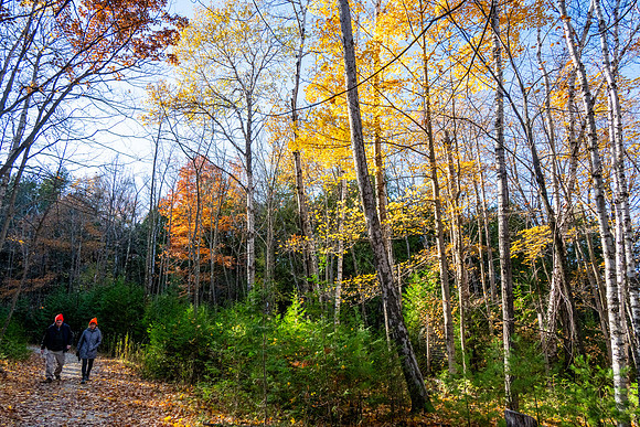 Beautiful Late Fall-90